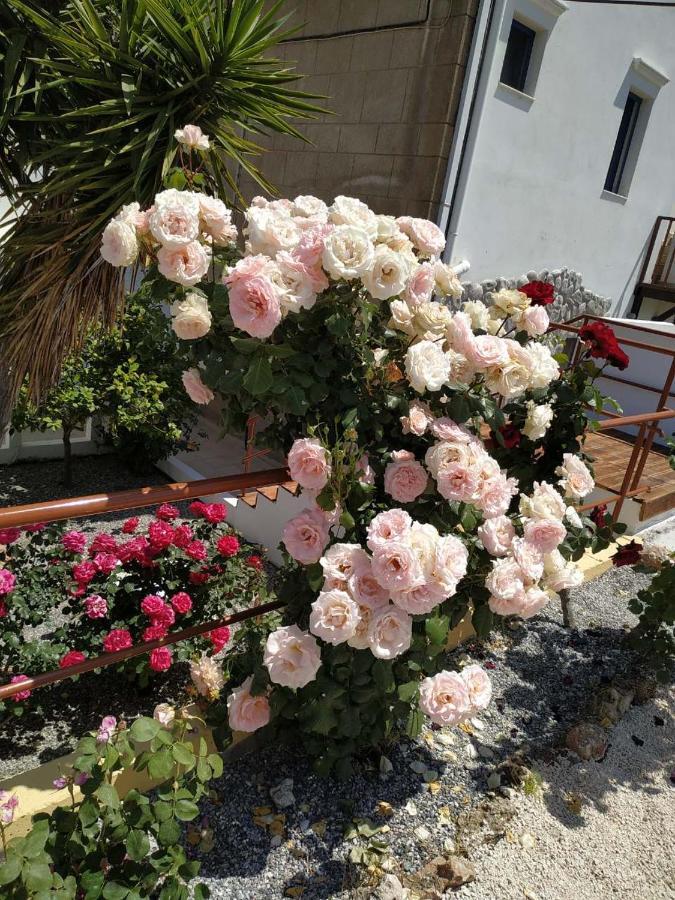 Stamatinas Villa شاراكي المظهر الخارجي الصورة